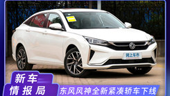 这款国产新轿车，大溜背+贯穿尾灯，1.5T动力超领克03 2.0T