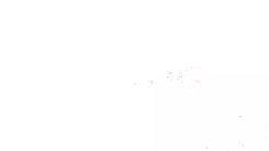 奥迪新款Q5进店实拍！增12V轻混，中控屏尺寸升级