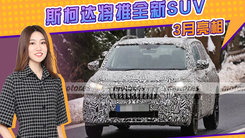 斯柯达将推全新SUV 3月亮相 二季度上市开售