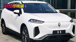 全球首款无钴电池正式下线！首装欧拉樱桃猫车型