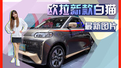 欧拉新款白猫正式上市！价格不变 顶配售8.88万