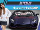 兰博基尼Aventador特别版！搭6.5L引擎专属图案