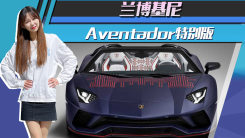 蘭博基尼Aventador特別版！搭6.5L引擎專屬圖案