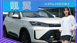 凯翼炫界Pro EV信息曝光！贯穿式尾灯,续航402km