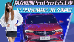 别克威朗ProPro GS上市 12.99万起售降2.3万 全系四缸