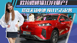 欧拉樱桃猫10月量产！搭载无钴电池 预计15万起售