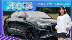 奥迪Q8改装版曝光！全黑车身,搭3.0T插混动力