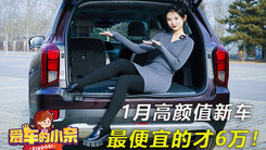 考驾照的动力来了！22年1月高颜值新车大盘点，最低只要六万多