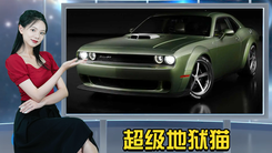 给猫猫来点酒精  你猜它会怎么样？