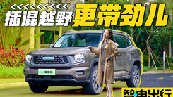 年轻人的第一台插混越野车，试驾哈弗二代大狗