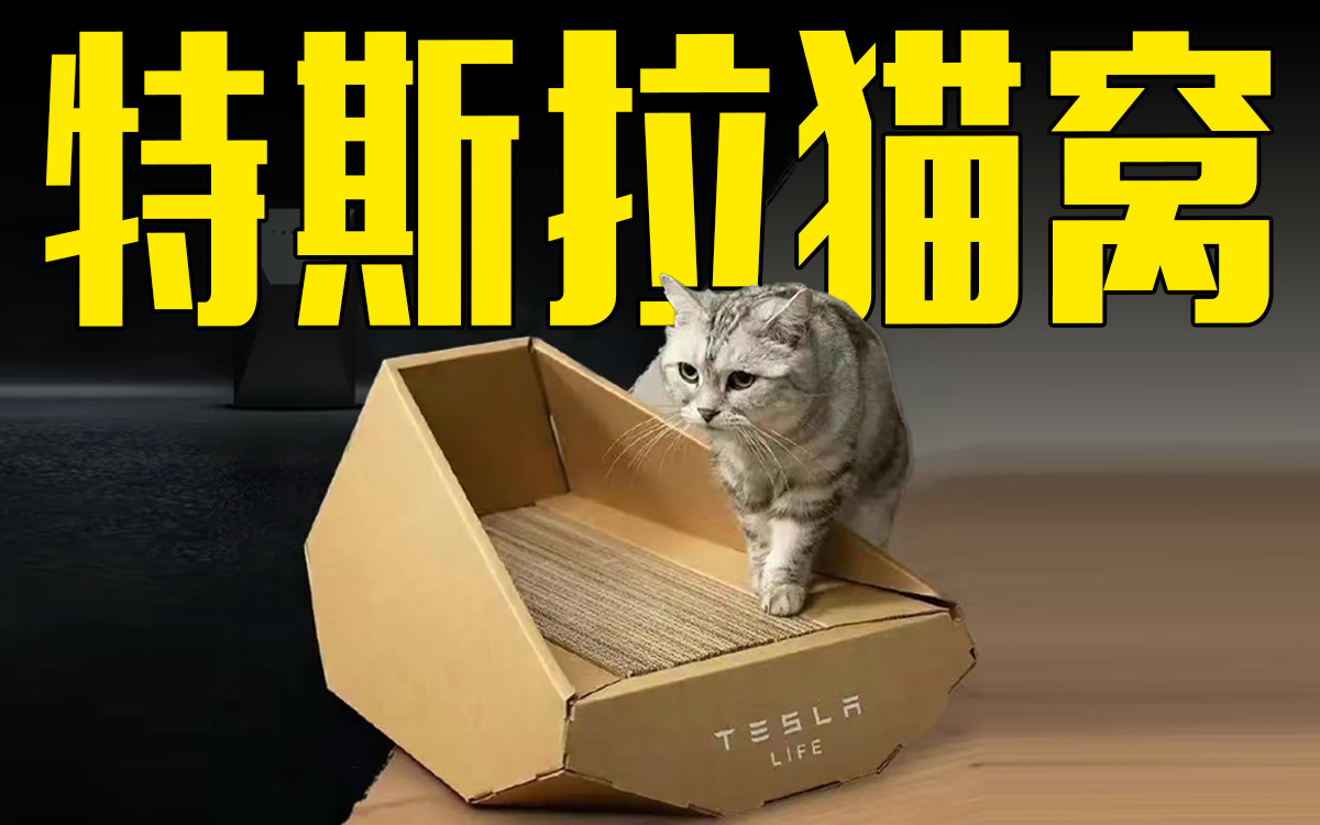 特斯拉卖89元猫窝！网友：明明可以抢，却非要给你个纸盒子