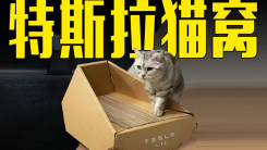 特斯拉卖89元猫窝！网友：明明可以抢，却非要给你个纸盒子