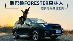 斯巴鲁FORESTER森林人 陪我寻找冬日之美