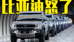 比亚迪最高奖励500万，打击恶意抹黑！