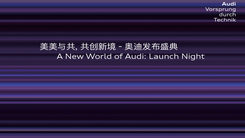 美美与共，共创新境-奥迪发布盛典