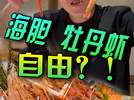 开大G吃日料 据说可以实现海胆 牡丹虾自由？！