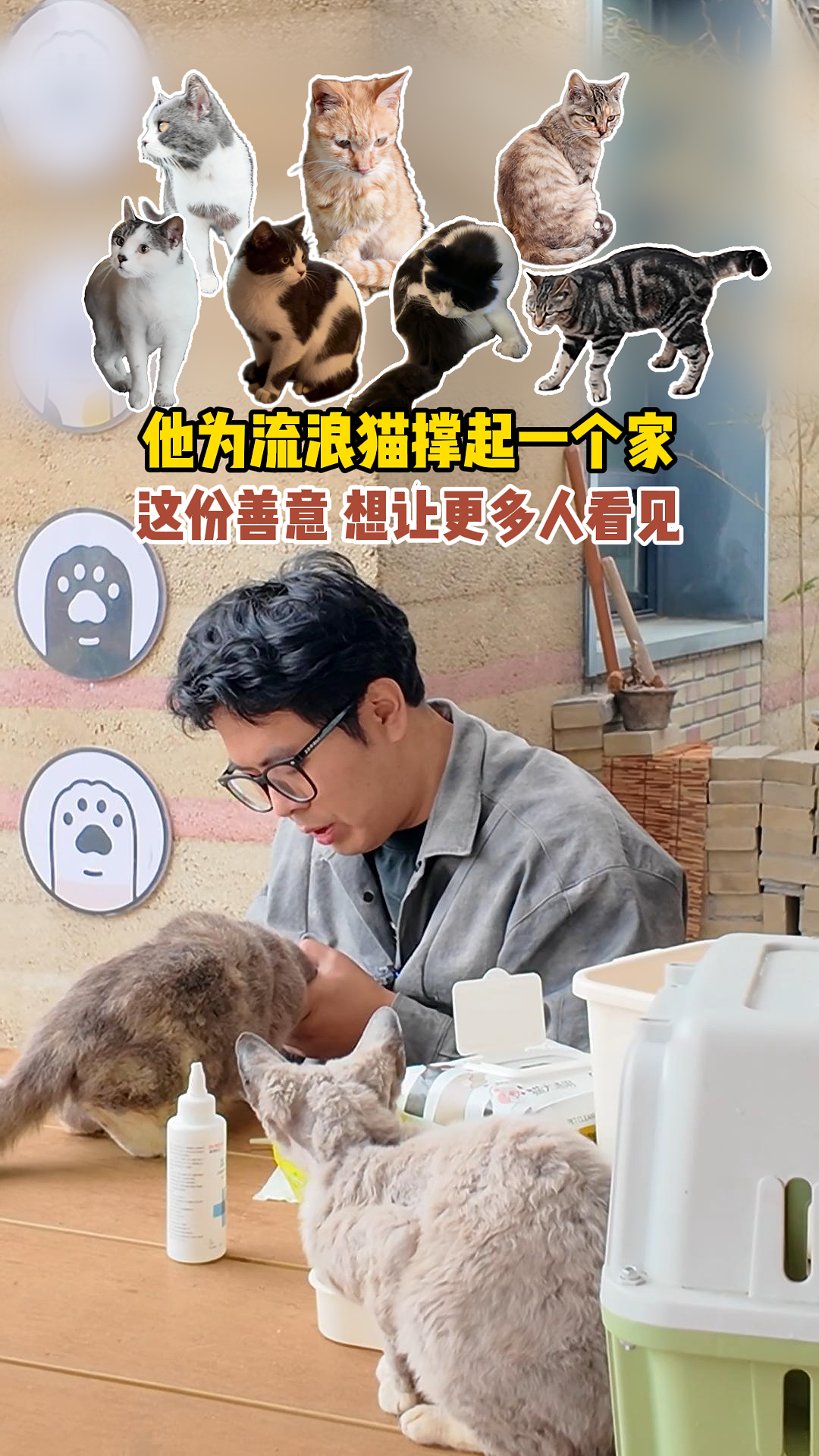 他為流浪貓撐起一個(gè)家 這份善意，想讓更多人看見(jiàn)